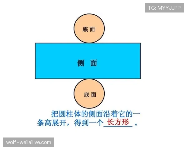 圆柱体原则的犯规判定与适用场景解析