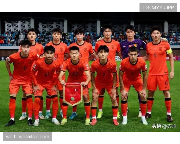 沙特冲击2026世界杯：出线前景、阵容解析与小组对手分析
