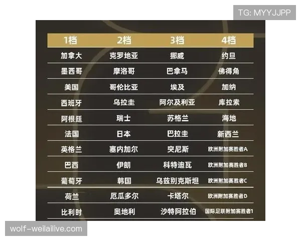 阿根廷世界杯小组赛总结:头名晋级32强